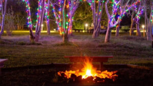 The Environmental Learning Center will host its WinterGreen Night Lights event next month.