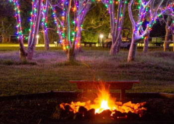 The Environmental Learning Center will host its WinterGreen Night Lights event next month.