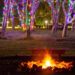 The Environmental Learning Center will host its WinterGreen Night Lights event next month.