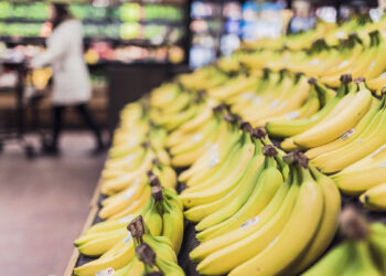 United Against Poverty will offer food vouchers starting Monday amid federal SNAP benefits freeze.