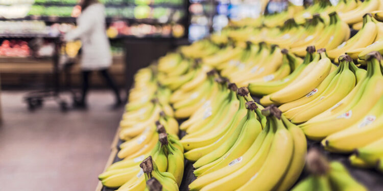 United Against Poverty will offer food vouchers starting Monday amid federal SNAP benefits freeze.