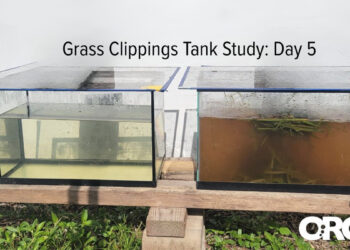 Grass clippings during 2025 study (Credit: ORCA)