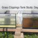 Grass clippings during 2025 study (Credit: ORCA)