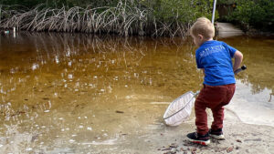 The Environmental Learning Center will host Lagoonapalooza 2026, a free festival blending live music, environmental education, and outdoor activities focusing on the Indian River Lagoon. (Photo: ELC)