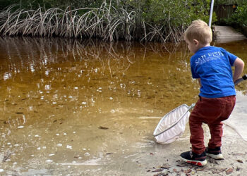 The Environmental Learning Center will host Lagoonapalooza 2026, a free festival blending live music, environmental education, and outdoor activities focusing on the Indian River Lagoon. (Photo: ELC)