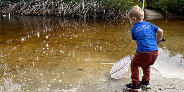 The Environmental Learning Center will host Lagoonapalooza 2026, a free festival blending live music, environmental education, and outdoor activities focusing on the Indian River Lagoon. (Photo: ELC)