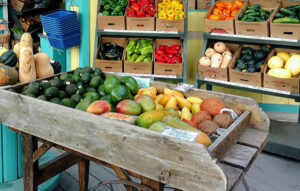 Spirit of Sebastian is hosting a new local tradition as the 'Afternoons in the Agrihood' series.