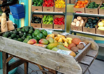 Spirit of Sebastian is hosting a new local tradition as the 'Afternoons in the Agrihood' series.