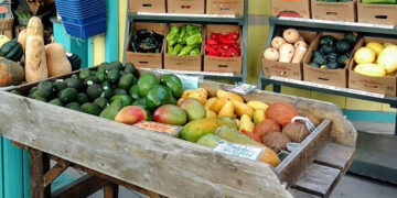 Spirit of Sebastian is hosting a new local tradition as the 'Afternoons in the Agrihood' series.