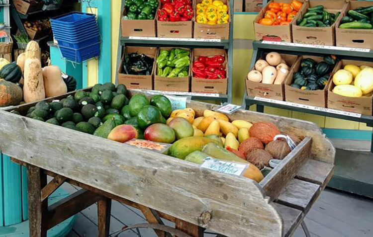 Spirit of Sebastian is hosting a new local tradition as the 'Afternoons in the Agrihood' series.