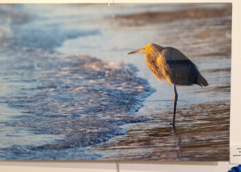 Elizabeth Chasse-Crouse with "Looking at You"