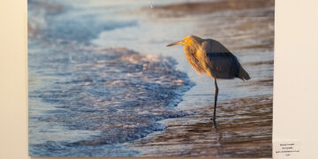 Elizabeth Chasse-Crouse with "Looking at You"