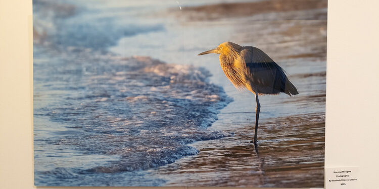 Elizabeth Chasse-Crouse with "Looking at You"