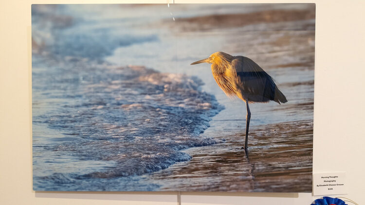 Elizabeth Chasse-Crouse with "Looking at You"