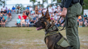 Indian River County Sheriff's Office K-9