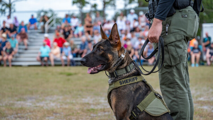 Indian River County Sheriff's Office K-9