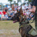 Indian River County Sheriff's Office K-9