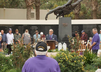 The Purple Heart Cane Project