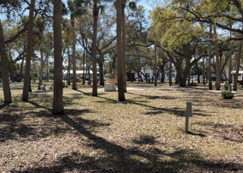 Sebastian has been honored by the Arbor Day Foundation for 24 consecutive years (Sebastian Daily)