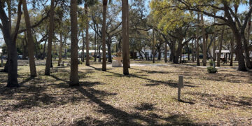 Sebastian has been honored by the Arbor Day Foundation for 24 consecutive years (Sebastian Daily)