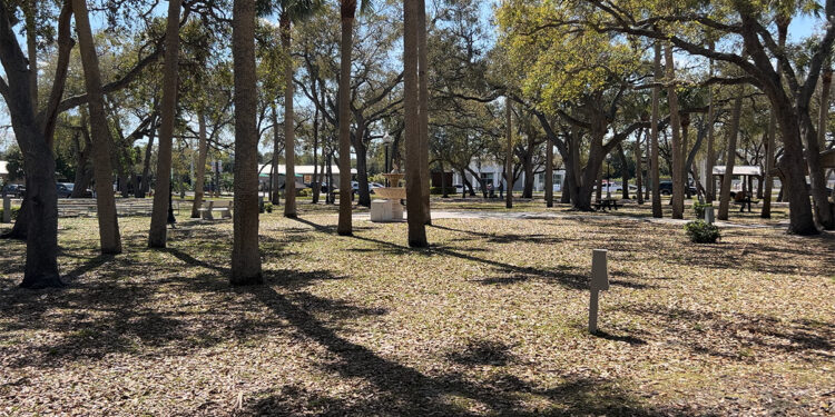 Sebastian has been honored by the Arbor Day Foundation for 24 consecutive years (Sebastian Daily)