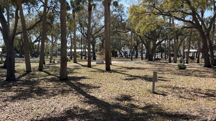 Sebastian has been honored by the Arbor Day Foundation for 24 consecutive years (Sebastian Daily)