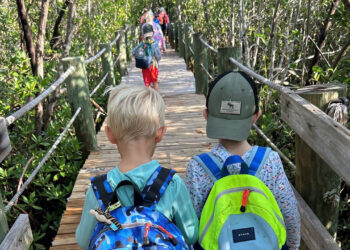 Environmental Learning Center Families is offering spring break adventures focused on the Indian River Lagoon (Credit: ELC)