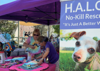 H.A.L.O. No-Kill Rescue’s annual Woofstock fundraiser