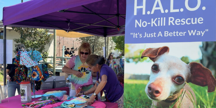 H.A.L.O. No-Kill Rescue’s annual Woofstock fundraiser