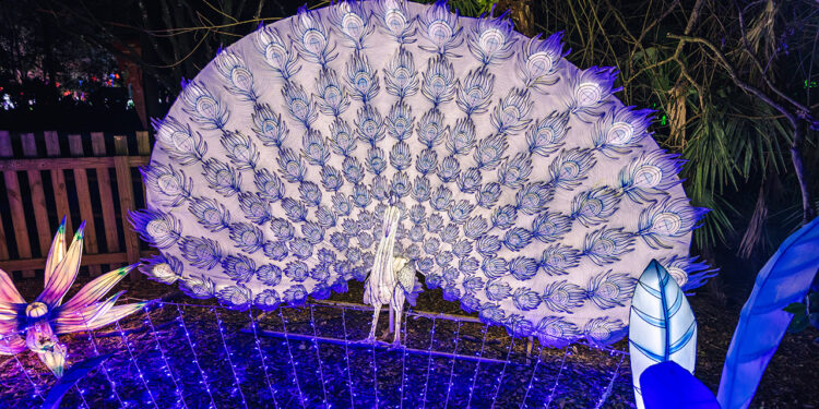 Illumi-Nature at Brevard Zoo