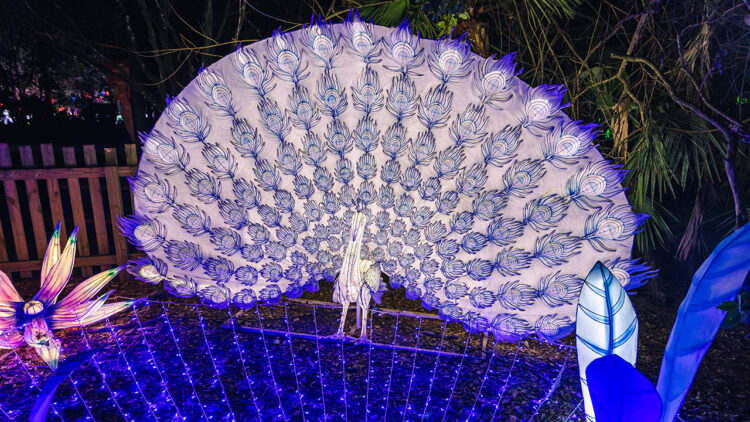 Illumi-Nature at Brevard Zoo