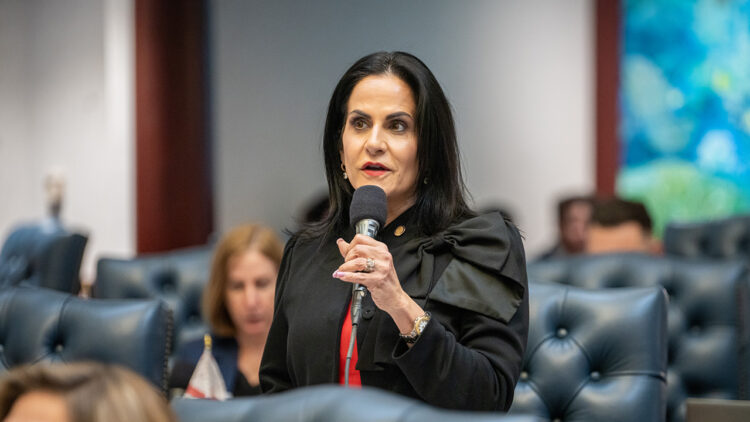 House sponsor, Rep. Yvette Benarroch, R-Naples