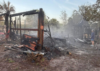 For The Love of Paws