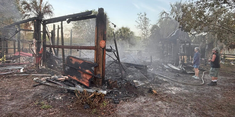 For The Love of Paws