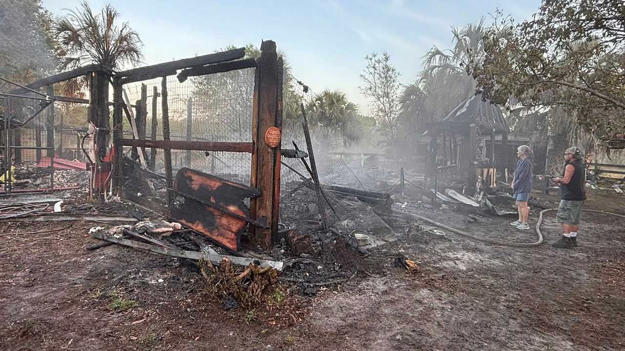 Fire destroys cat cottages at Florida sanctuary, killing 10 pets; 4 rescued