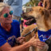 Chase Your Tail 5K Run/Walk