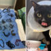 HALO No Kill Rescue Shelter