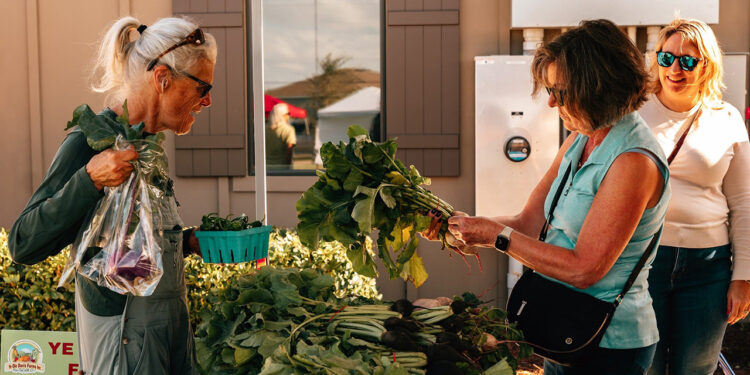 Afternoon in the Agrihood