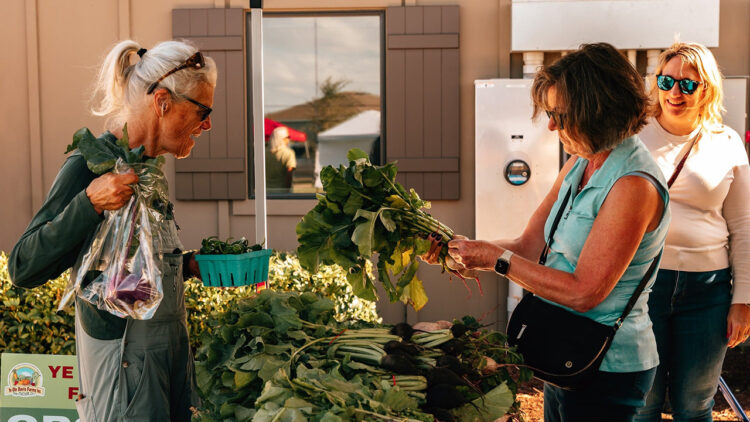 Afternoon in the Agrihood