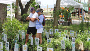 Earth Day and Arbor Day in Sebastian (Sebastian Daily)