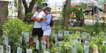 Earth Day and Arbor Day in Sebastian (Sebastian Daily)