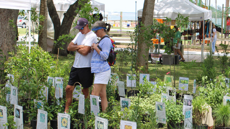 Earth Day and Arbor Day in Sebastian (Sebastian Daily)