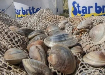 Clean Water Collective