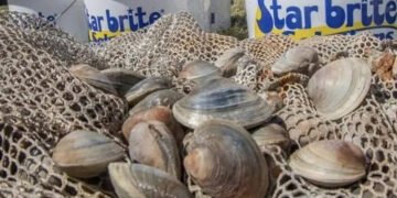 Clean Water Collective