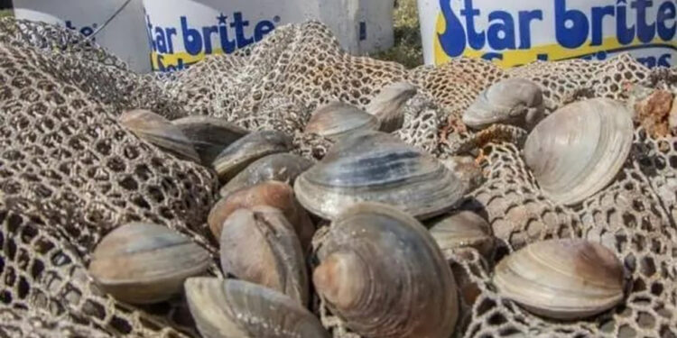 Clean Water Collective