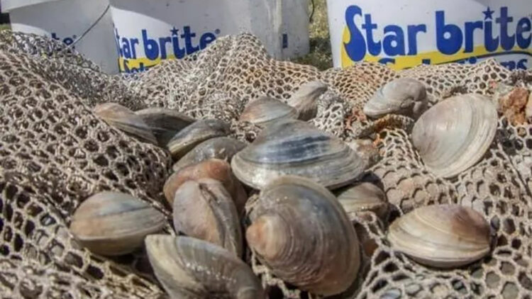 Clean Water Collective