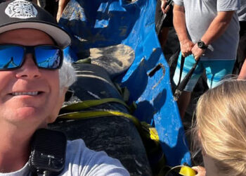 Fire Rescue crews and partner agencies teamed up to safely guide a manatee back to deeper waters off South Melbourne Beach. (Brevard County Fire Rescue)