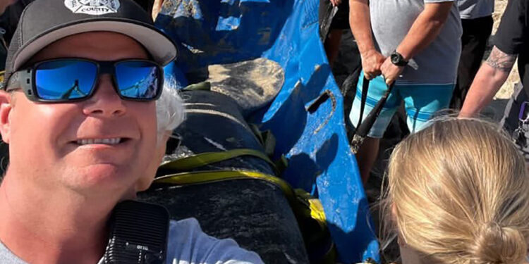 Fire Rescue crews and partner agencies teamed up to safely guide a manatee back to deeper waters off South Melbourne Beach. (Brevard County Fire Rescue)