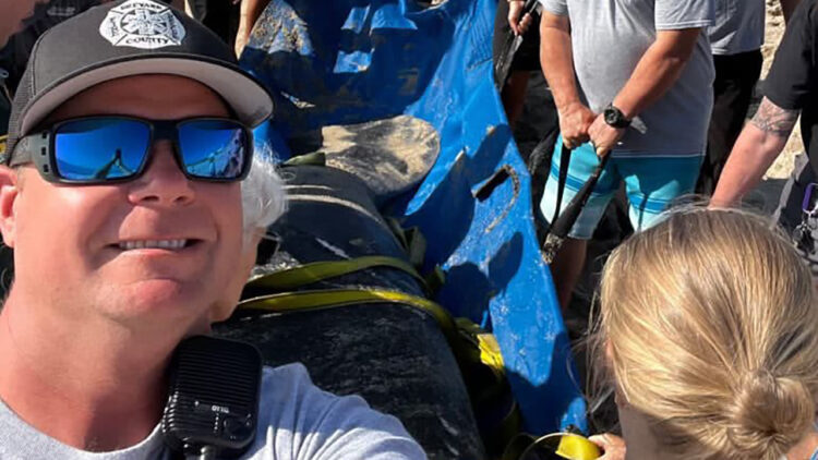 Fire Rescue crews and partner agencies teamed up to safely guide a manatee back to deeper waters off South Melbourne Beach. (Brevard County Fire Rescue)