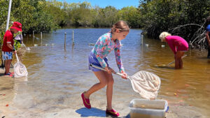 Summer Camps in Indian River County (Environmental Learning Center)